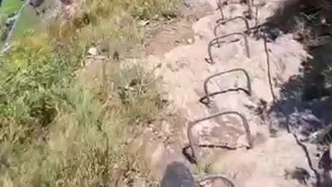 Fun