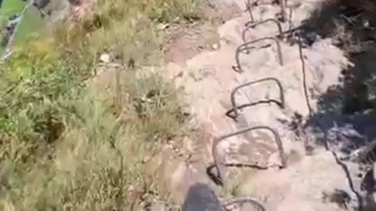 Fun