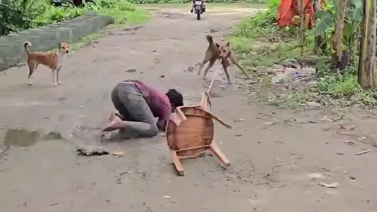 Best Funny