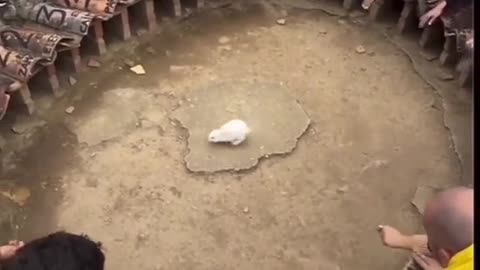 unique
