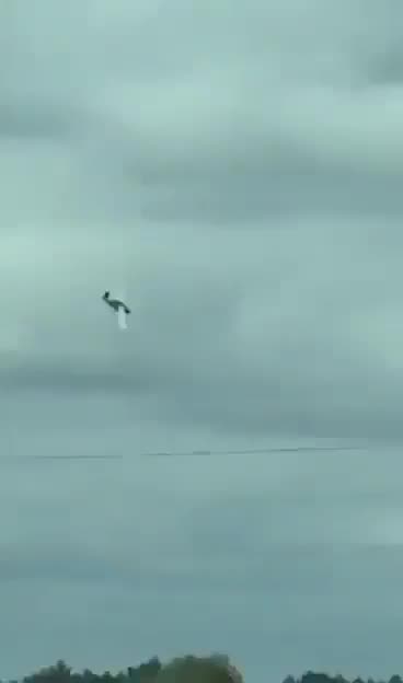 Materiał wideo, który przedstawia katastrofę awionetki w okolicach Leszna