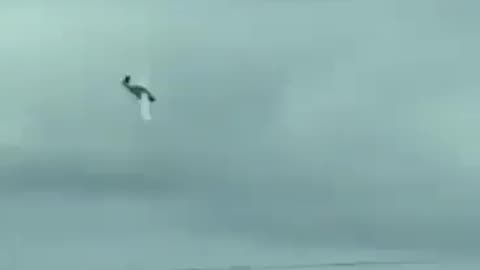 Materiał wideo, który przedstawia katastrofę awionetki w okolicach Leszna