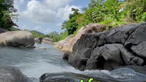 😊 232 “LO QUE PIENSAS, SE EXPANDE” Proverbios 15:15 😊