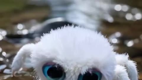 cute crab