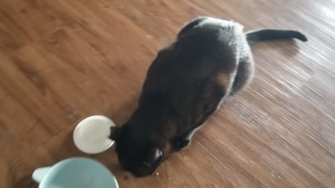 20250826 115556 Tux's Heart (Eating) Problem