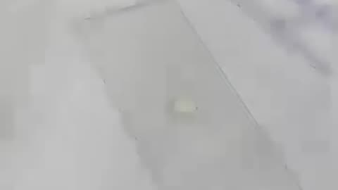 Male Sperm count