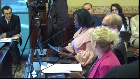 Chicago Homeschool Mom Aziza Butler Testifies Against HB 2827