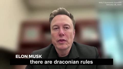 Elon Musk: I Support AfD for Backing Free Speech, Sensible Immigration, and Rule of Law