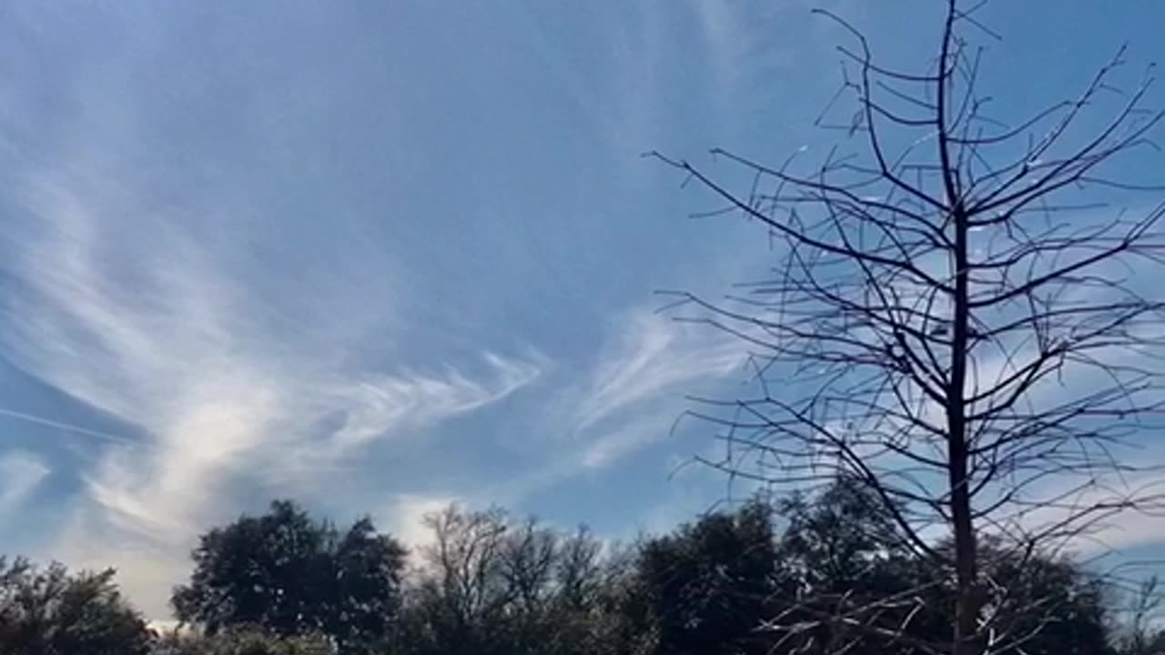 Angel on earth
