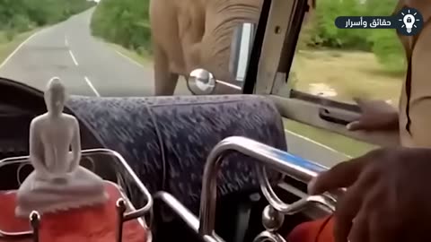 معجزات صورتها الكاميرات حدثت لأشخاص أمام الحيوانات المفترسة! لن تصدق!