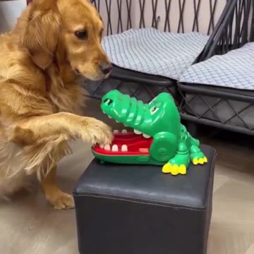 The smile at the end.. 😂