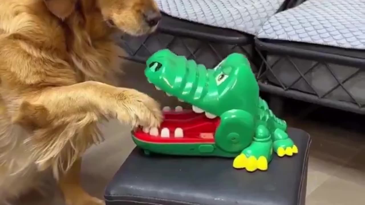 The smile at the end.. 😂