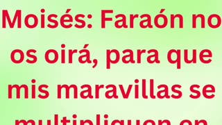 «La obstinación de Faraón y la gloria de Dios» Éxodo 11:9 #shortvideo #shorts #youtubeshorts #ytshor