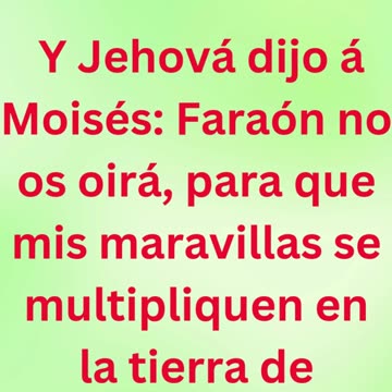 «La obstinación de Faraón y la gloria de Dios» Éxodo 11:9 #shortvideo #shorts #youtubeshorts #ytshor