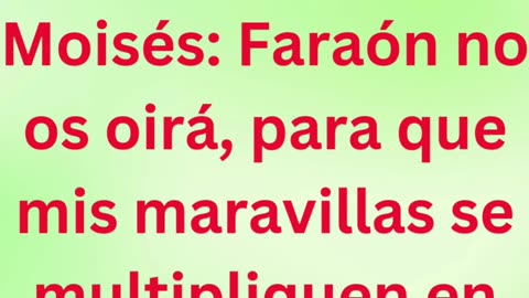 «La obstinación de Faraón y la gloria de Dios» Éxodo 11:9 #shortvideo #shorts #youtubeshorts #ytshor
