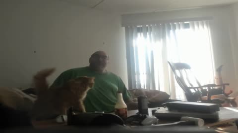 The reason why my mom never got arrested for the bomb threats was because bodega uncle/Mark is VEAL