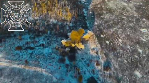 Ukraine war combat/related footage 1/8/26