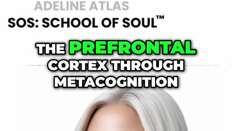 Warlord Mindset: Master Your Brain, Rule Your Life (By Adeline Atlas)