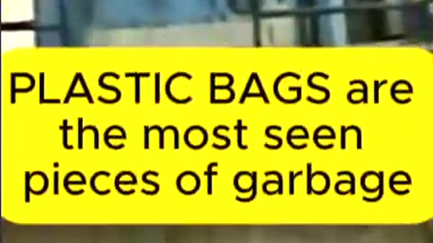 Built on Trash: The Staten Island Landfill Is America’s Plastic Throne