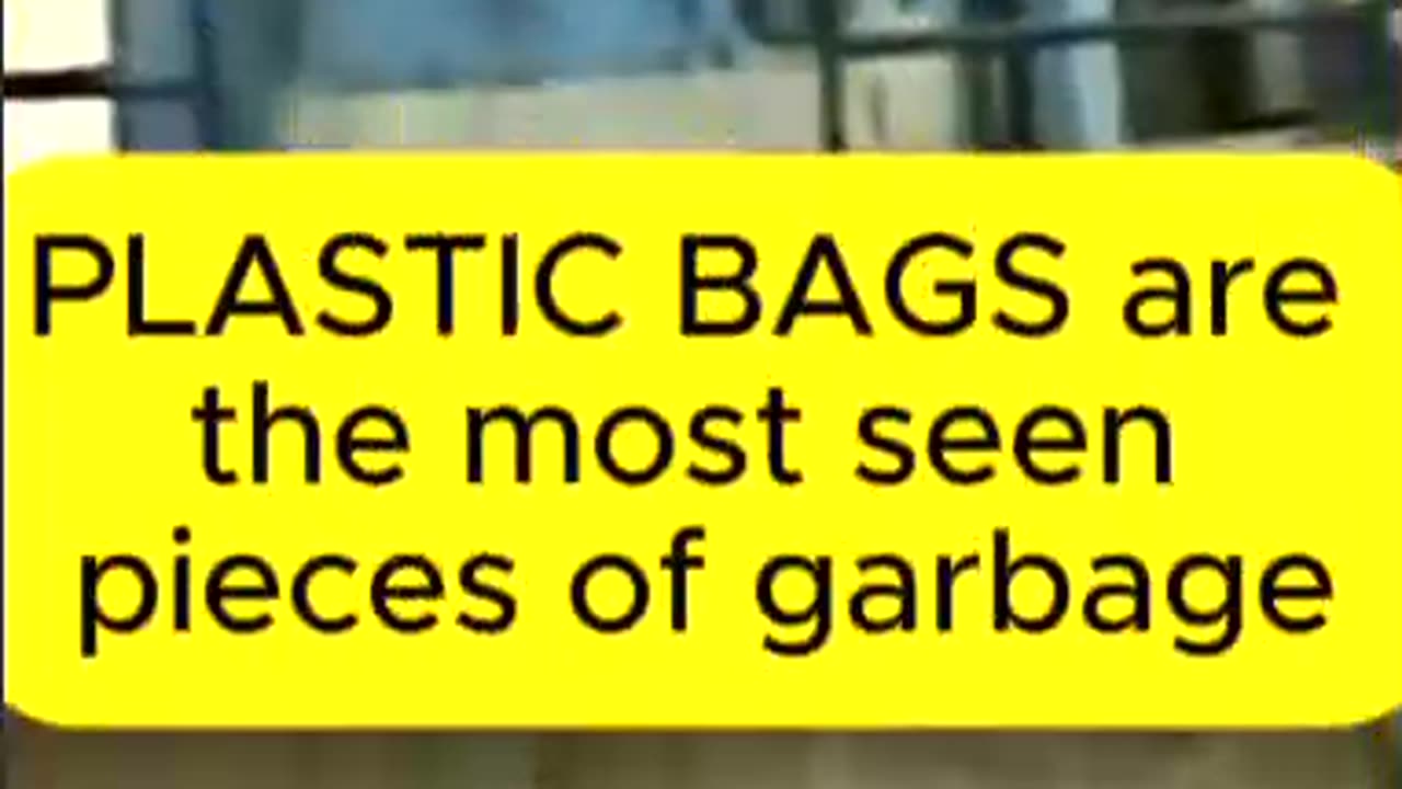 Built on Trash: The Staten Island Landfill Is America’s Plastic Throne