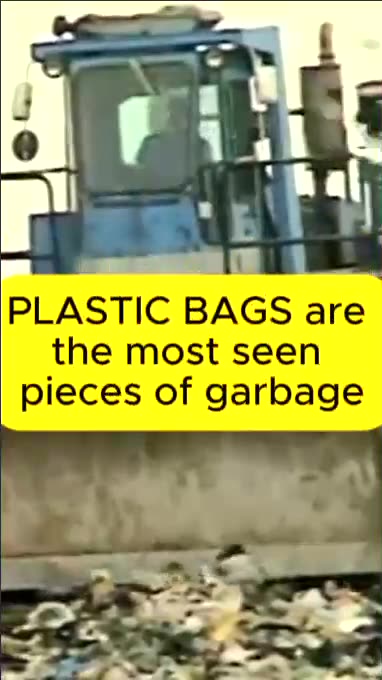 Built on Trash: The Staten Island Landfill Is America’s Plastic Throne