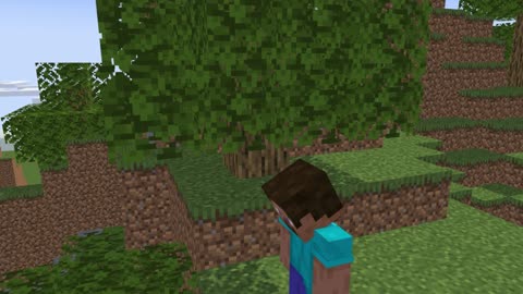when steve needs to fly