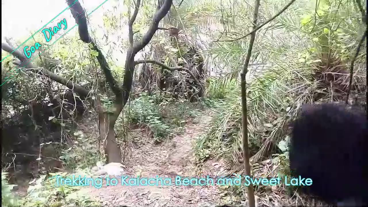 Discovering Kalacha beach- Secret beaches of Goa, Travel Vlog, July-Aug 2018