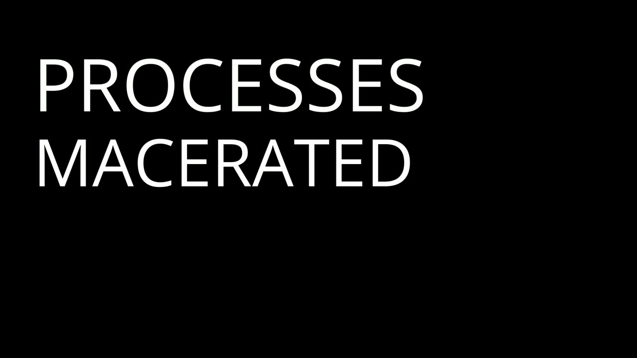 From Leaf to Line: The Dark Descent of Cocaine | Burroughs - Part 2