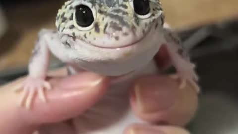 So cute 🥰