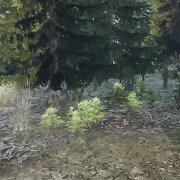 I'm The BEST Sniper In DayZ
