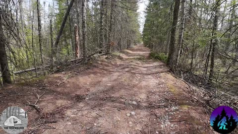 Old Railroad Bed Walk in Michigan
