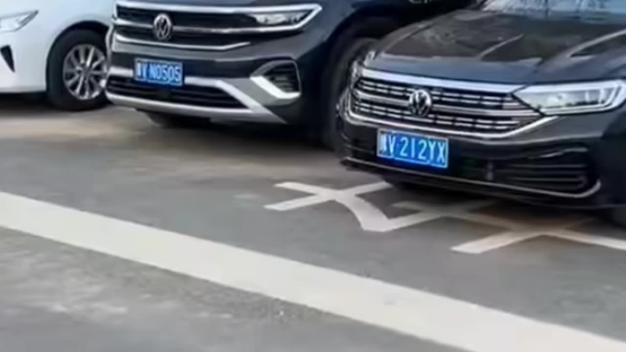 The driver
