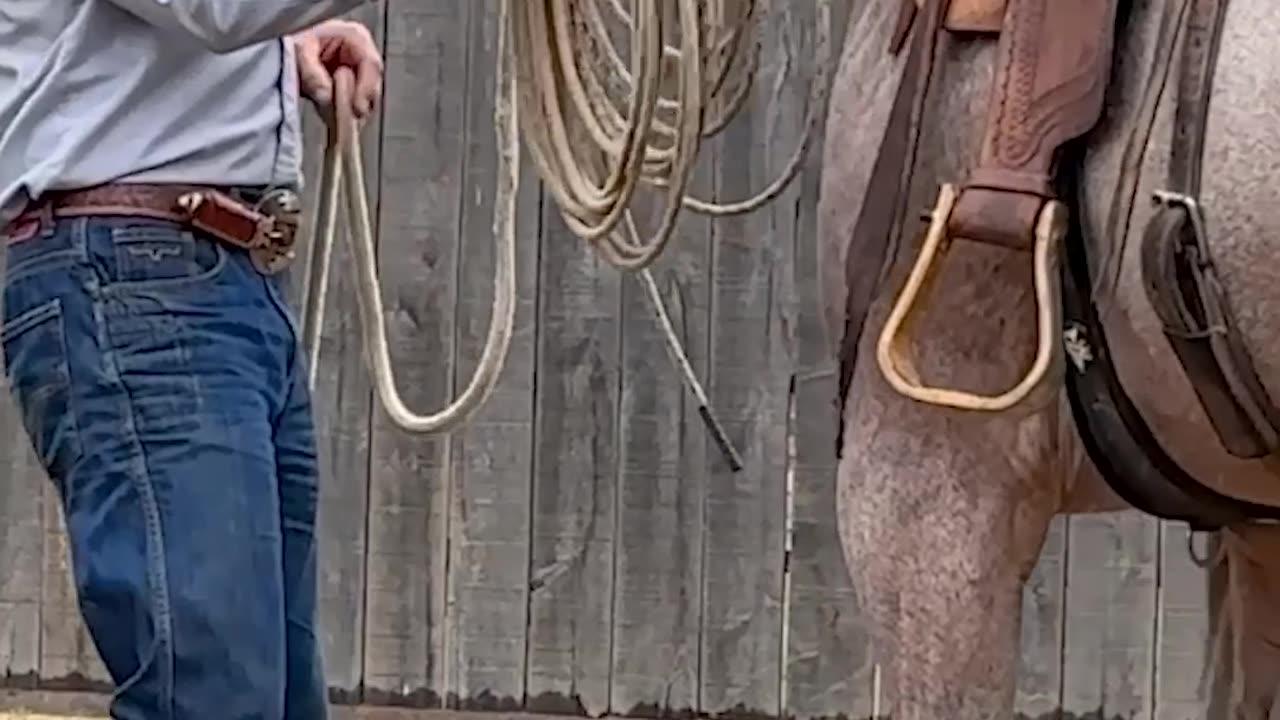 Skipping steps leaves holes in your horse.