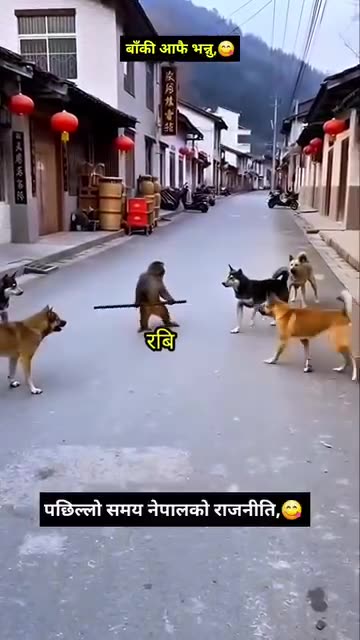 🤣 #kesharrajvideo #comedy Balen Rabi Harka