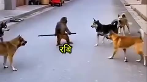 🤣 #kesharrajvideo #comedy Balen Rabi Harka