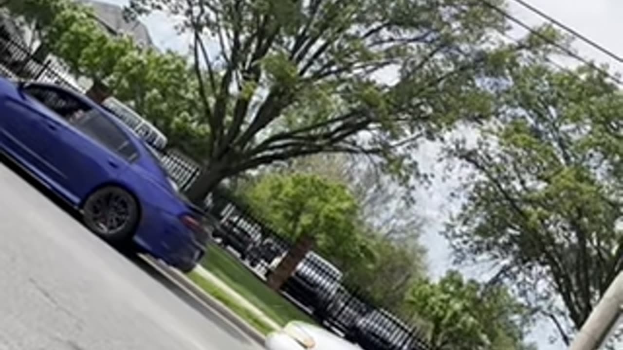 FULL FIGHT 130LB DOLLA BILL HANDLING LIKE.NO.OTHER LIKE A RAG DOLL