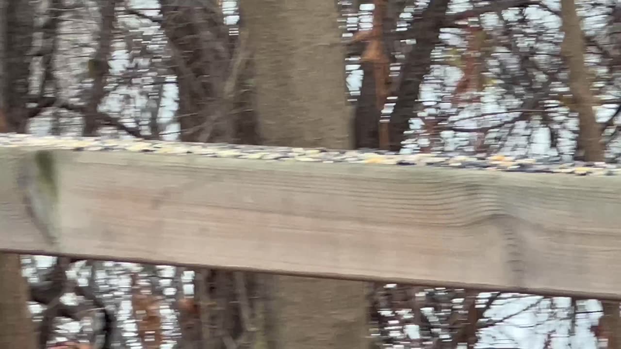 Visiting with friends at the park in Toronto