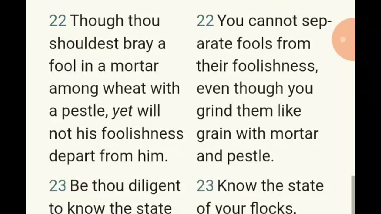 That's they business(captain save a hoes)