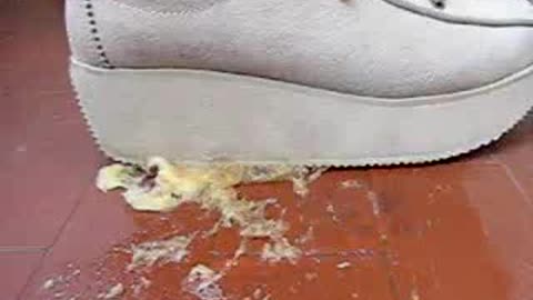 Banana Crushed Under Sneakers