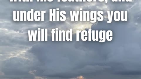 You Are Safe Under His Wings 🕊️ | Psalm 91:4 Encouragement #BibleShorts #Faith