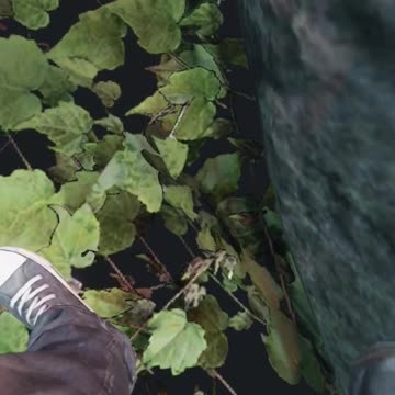Don't do that in DayZ