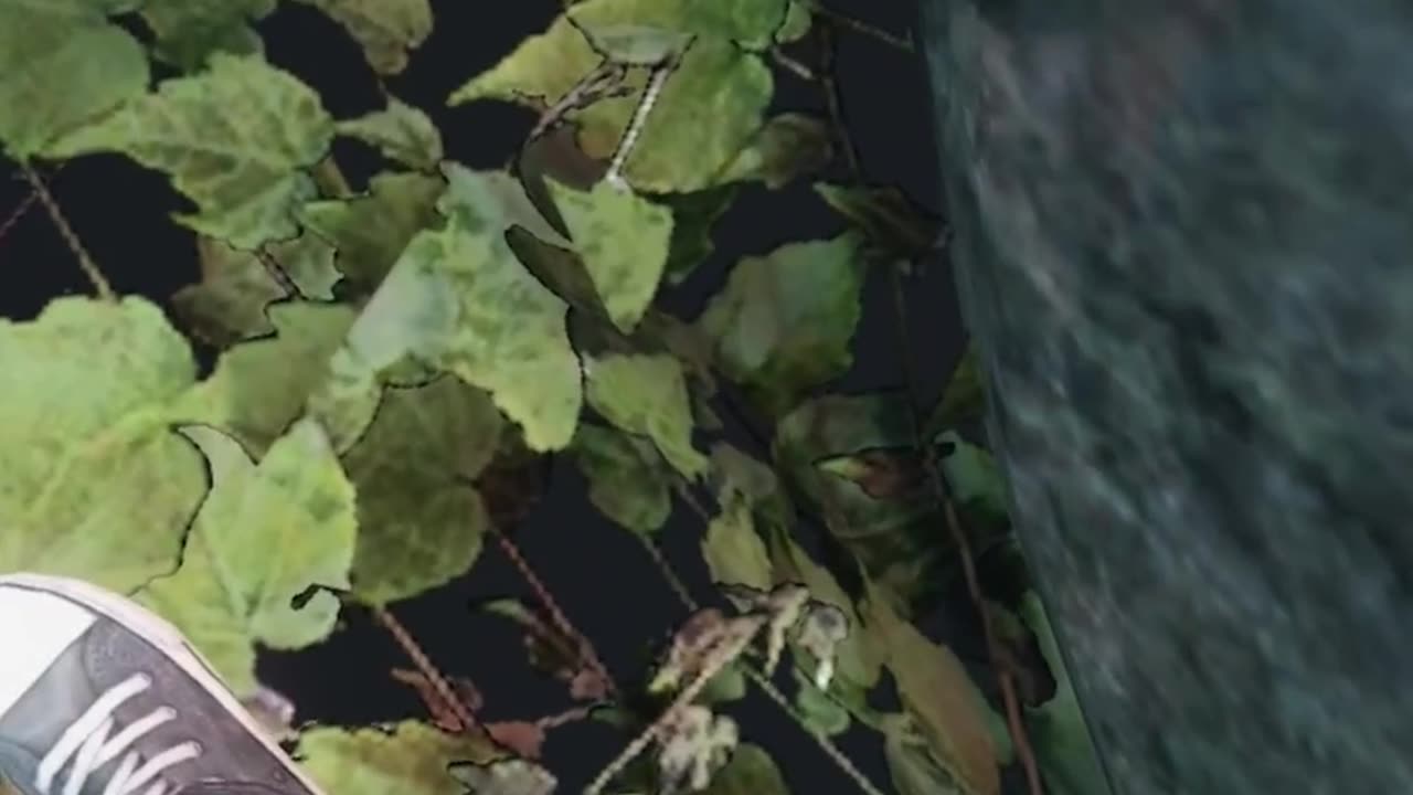 Don't do that in DayZ