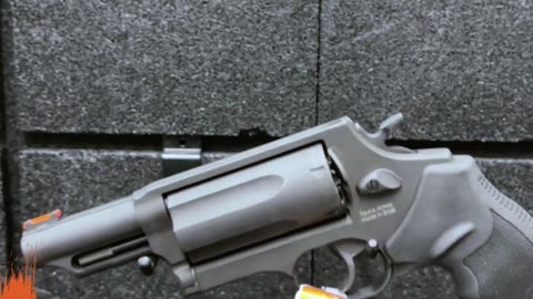 Taurus Judge