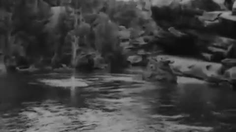 The Man From Kangaroo (1920) - Full film