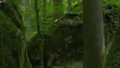 Как появились румыны?