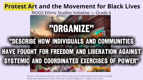 New Minnesota Dept of Education guidelines require students in K-12 learn “ethnic studies.”