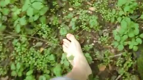 Barefoot in the Jungle - Male Content