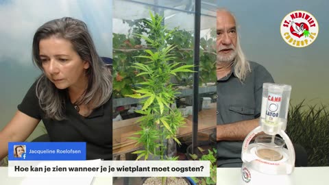 55 jaar blowen en toch nog 75 geworden!