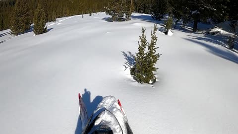 Untouched Gold!!! A snowmobilers dream