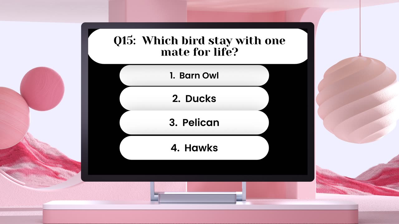 What do you know about Birds?